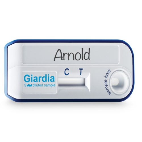 Giardia